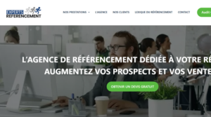 Vorschau der Website von Experts référencement